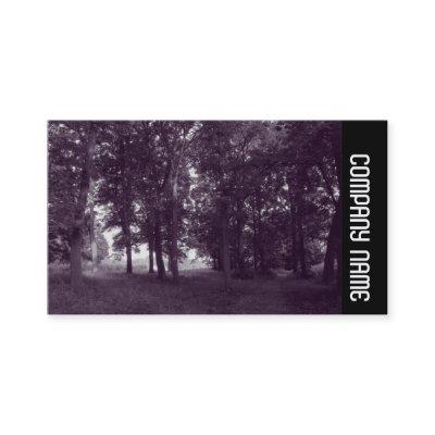 Side Band -  Woods, Bute Park Cardiff