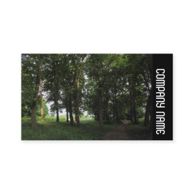 Side Band -  Woods, Bute Park Cardiff