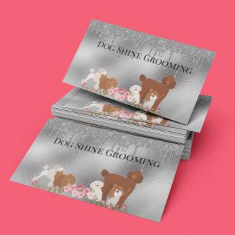 Silver Dog Grooming Glitter Pet Services