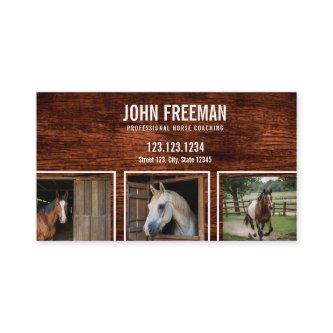 Simple Brown Horse Photos Stable and Equine