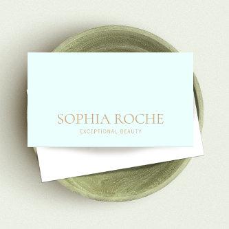 Simple Light Aqua Blue Professional