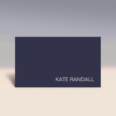 Simple Modern Navy Blue Professional