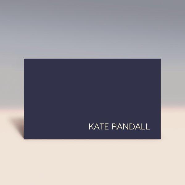 Simple Modern Navy Blue Professional