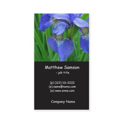 simple style, blue iris