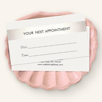 Simple White Modern FAUX Silver Stripe Appointment