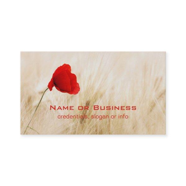 Single Red Poppy in a Grassy Field