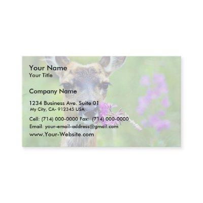 Sitka Black-tailed Deer with Fireweed