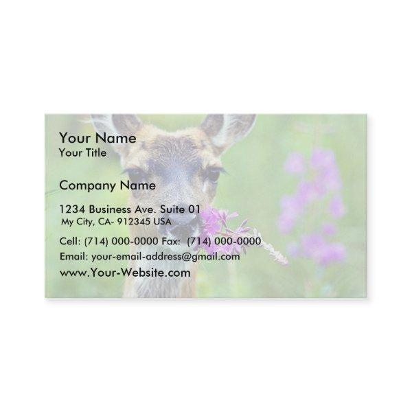 Sitka Black-tailed Deer with Fireweed