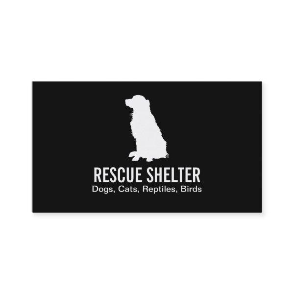 Sitting Dog | Veterinarian