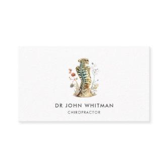 Skeletal Spine Doctor Chiropractor