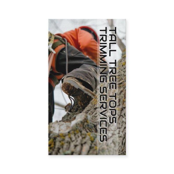 Skilled Worker Climbing Up Tree for Trimming
