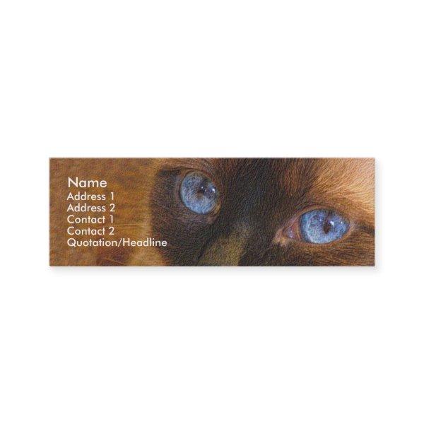Skinny Template - Siamese Cat Mini