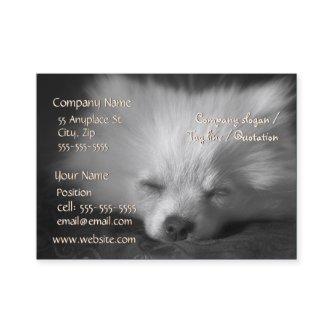 Sleeping Pomeranian  template