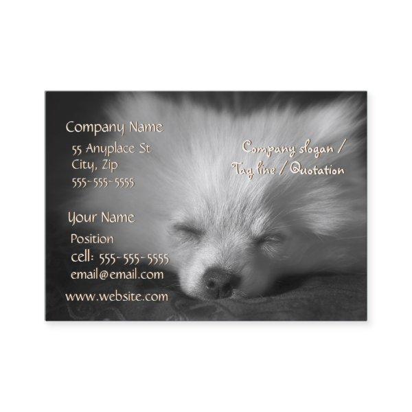 Sleeping Pomeranian  template