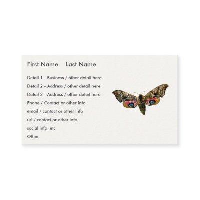Smerinthus ocellata - Eyed Hawk-Moth Color Image B