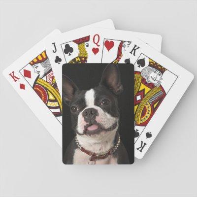 Smiling Boston terrier with collar Playing Cards
