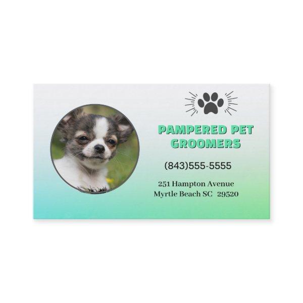 Smiling Chihuahua Pet Groomer