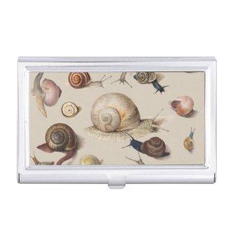 Snail Garden Pet Gastropod Slug Botanical Snails  Case