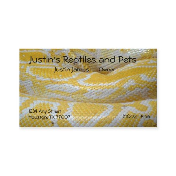 Snake Skin
