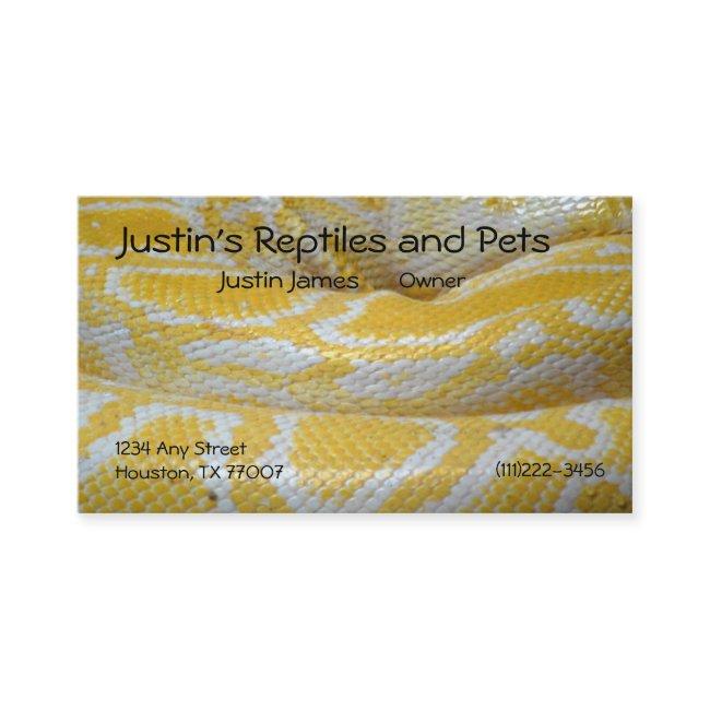 Snake Skin