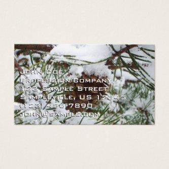 Snowy Pine Cone I Winter Nature Photography