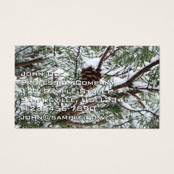 Snowy Pine Cone II Winter Nature Photography