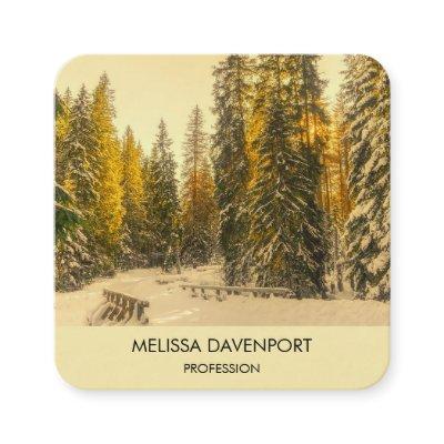 Snowy Winter Path with Pine Trees Photograph Square