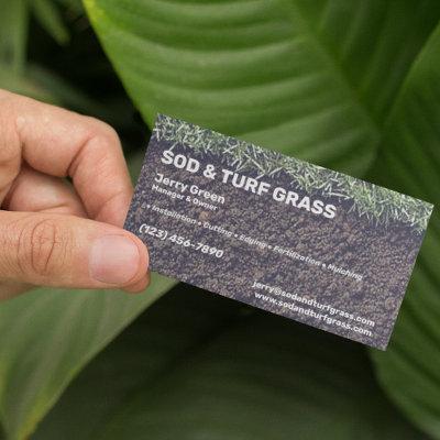 Sod and Turf Lawn Care Services