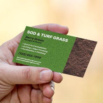 Sod and Turf Lawn Care Services