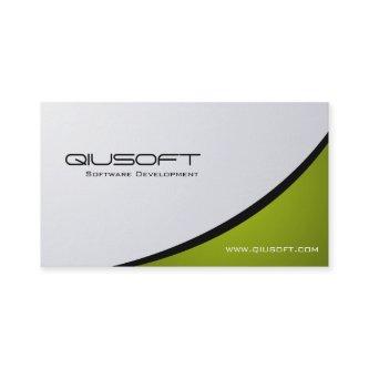 Software Developer