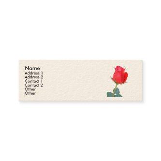 Sonnet # 18 by William Shakespeare Mini