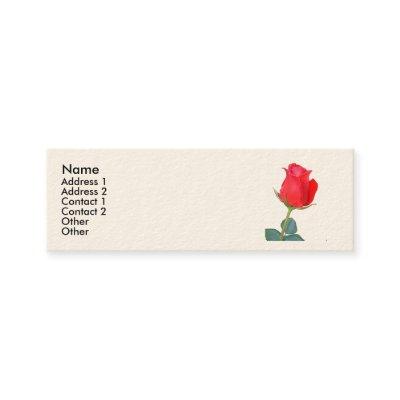 Sonnet # 18 by William Shakespeare Mini