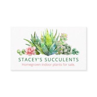 Sophisticated Homegrown Succulent Plant