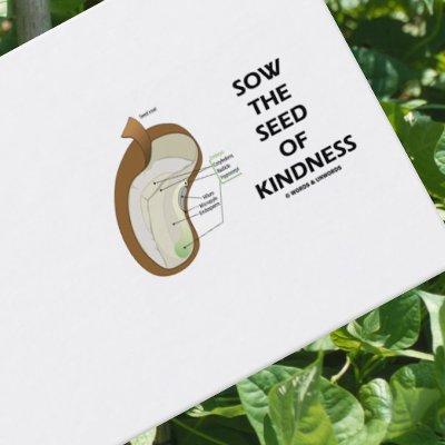 Sow The Seed Of Kindness (Dicotyledon Bean Seed)