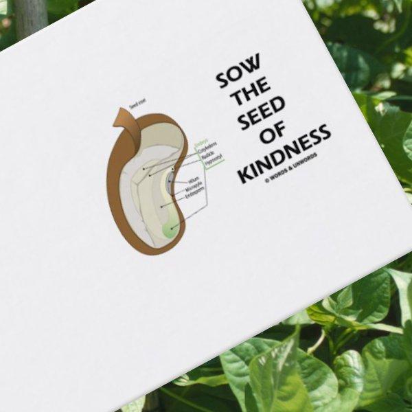 Sow The Seed Of Kindness (Dicotyledon Bean Seed)