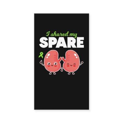 Spare Kidney Organ Transplantation
