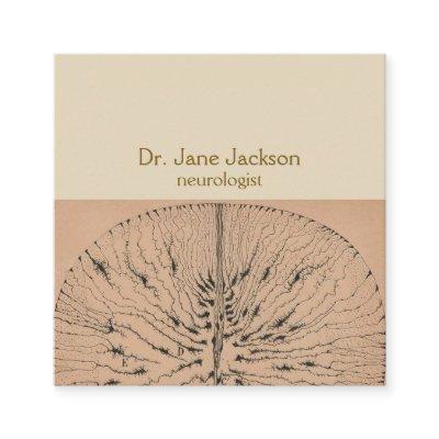Spinal Cord Glial Cells Drawing - Neurologist Square