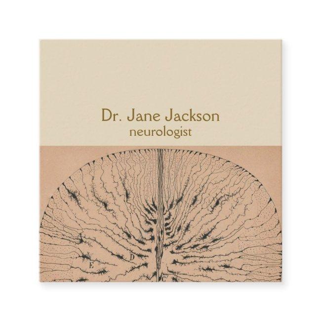 Spinal Cord Glial Cells Drawing - Neurologist Square