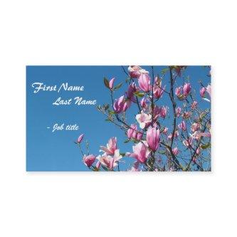 Spring pink magnolia flowers in blue sky