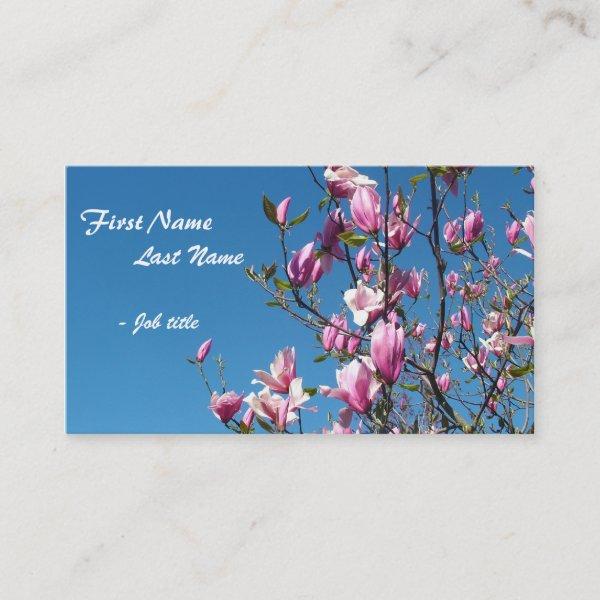 Spring pink magnolia flowers in blue sky