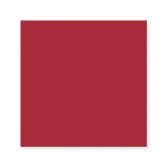Spring Summer Color Fiery Red Square