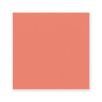 Spring Summer Color Peach Pink Discount Card