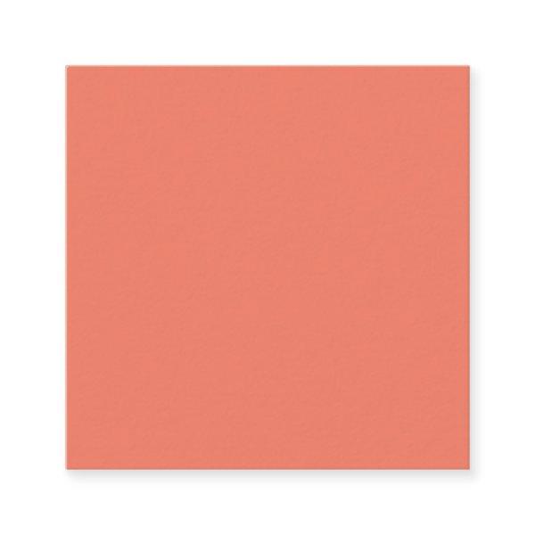 Spring Summer Color Peach Pink Square