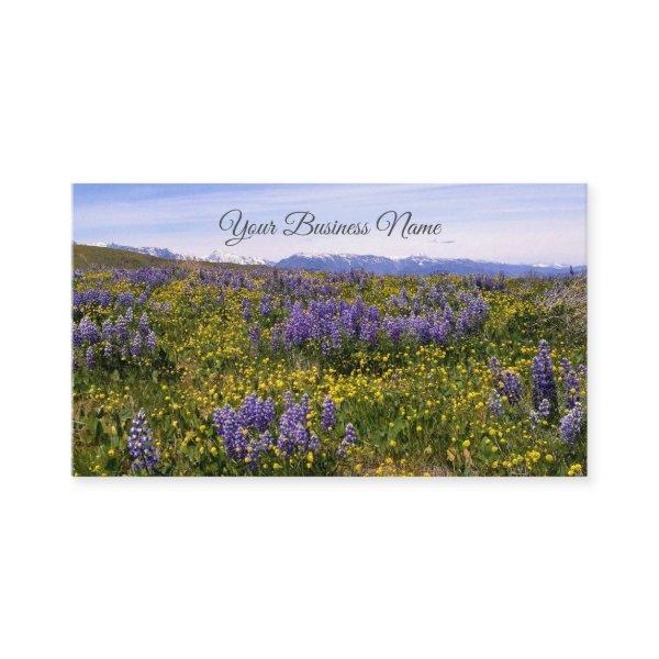 Spring Wildflowers