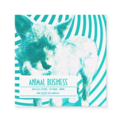 square crazy hazie pet appointment reminder
