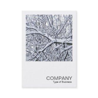 Square Photo 0279 - Snowy Branches