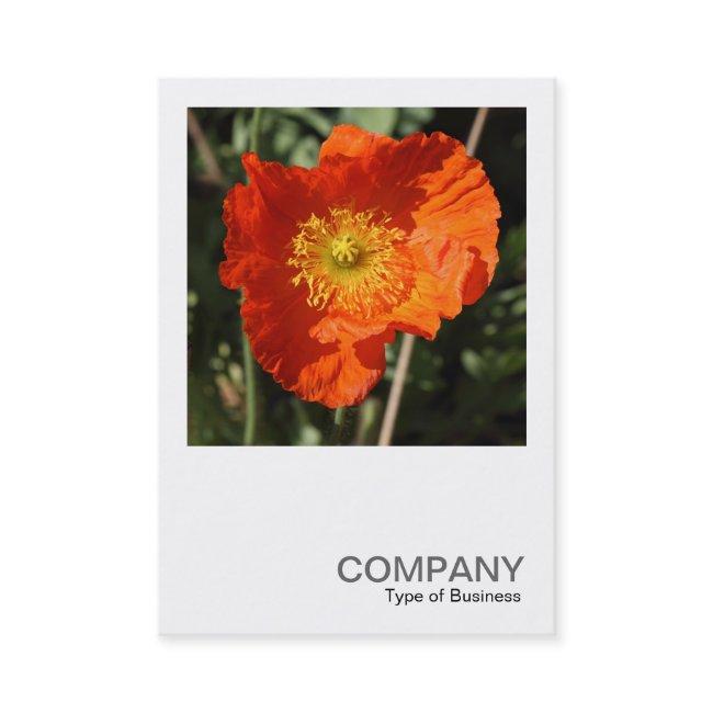 Square Photo 0405 - Welsh Poppy (Orange)