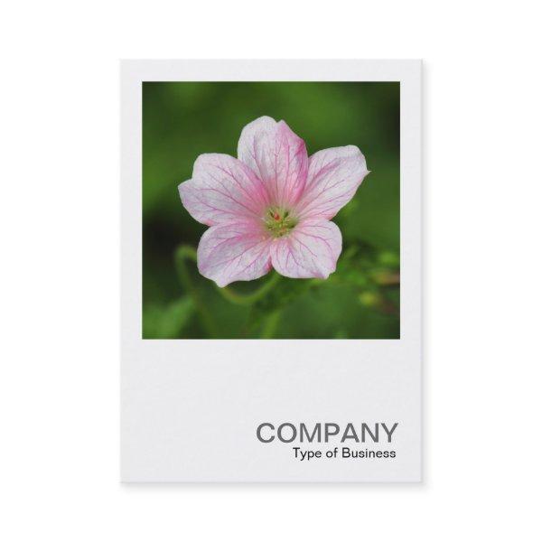 Square Photo 0419 - Geranium