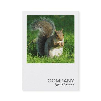 Square Photo 0552 - Grey Squirrel Eating Nuts