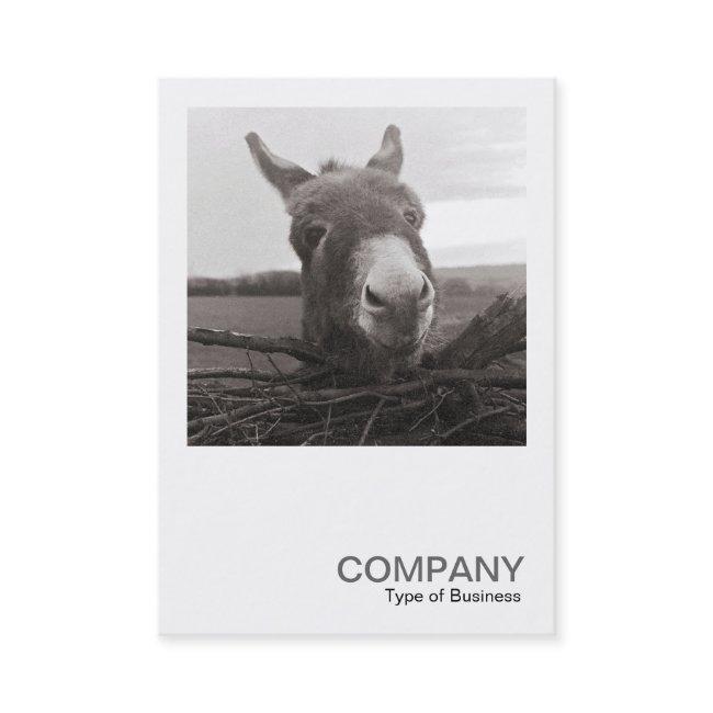 Square Photo 0589 - Friendly Donkey